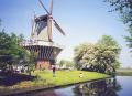 moulin.jpg